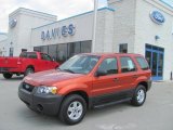 2007 Ford Escape XLS 4WD