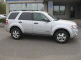 2008 Silver Metallic Ford Escape XLT 4WD #30037517