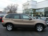 2005 Kalahari Beige Metallic BMW X5 3.0i #3006482