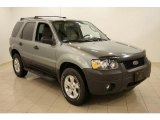 2005 Titanium Green Metallic Ford Escape XLT V6 4WD #30158432