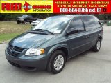 2006 Magnesium Green Pearl Dodge Caravan SE #30158481