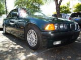 1999 Fern Green Metallic BMW 3 Series 323i Convertible #30157958