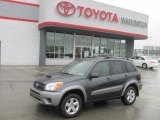 2004 Flint Mica Toyota RAV4 4WD #30213886