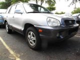 2002 Pewter Hyundai Santa Fe GLS AWD #30213648