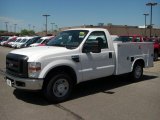 Oxford White Ford F250 Super Duty in 2010