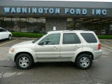 2004 Gold Ash Metallic Ford Escape Limited 4WD #30214107