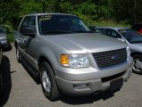 2003 Silver Birch Metallic Ford Expedition XLT 4x4 #30281032