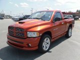 2005 Go ManGo! Dodge Ram 1500 SLT Daytona Regular Cab 4x4 #30330857