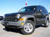 2005 Dark Khaki Pearl Jeep Liberty CRD Sport 4x4 #2974245