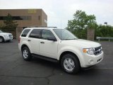 2010 White Suede Ford Escape XLT V6 4WD #30367523