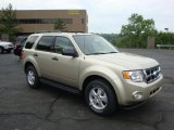 2010 Gold Leaf Metallic Ford Escape XLT V6 4WD #30367524