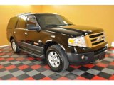 2007 Black Ford Expedition XLT 4x4 #30367819