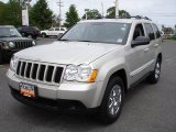 2010 Light Graystone Pearl Jeep Grand Cherokee Laredo 4x4 #30424394