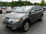 2010 Sterling Grey Metallic Ford Edge Limited #30432476