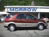 2002 Sedona Bronze Buick Rendezvous CXL AWD #30432082