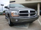 Mineral Gray Metallic Dodge Durango in 2005