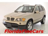 2001 Pearl Beige Metallic BMW X5 4.4i #30484716