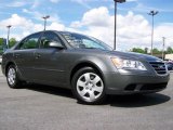 2009 Willow Gray Hyundai Sonata GLS #30484589