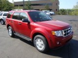 2010 Sangria Red Metallic Ford Escape XLT 4WD #30484754
