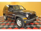 2006 Midnight Blue Pearl Jeep Liberty Sport 4x4 #30544219