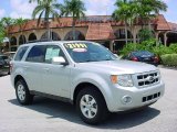 2008 Silver Metallic Ford Escape Limited #30543849