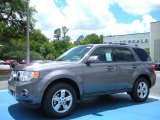 2010 Sterling Grey Metallic Ford Escape Limited #30543855
