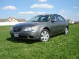 2009 Willow Gray Hyundai Sonata GLS #30543716