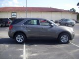 2010 Cyber Gray Metallic Chevrolet Equinox LS #30544160