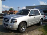 2010 Ingot Silver Metallic Ford Expedition Limited 4x4 #30616230