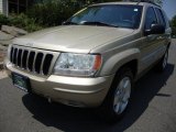 2001 Champagne Pearl Jeep Grand Cherokee Limited 4x4 #30616981