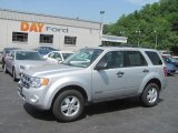 2008 Silver Metallic Ford Escape XLT #30616194