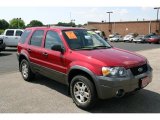 2005 Redfire Metallic Ford Escape XLT V6 4WD #30722721