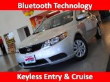 2010 Bright Silver Kia Forte EX #30746321