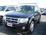 2010 Black Ford Escape XLT 4WD #30752317