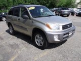 2003 Titanium Metallic Toyota RAV4 4WD #30816742