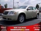 2010 Dodge Avenger Express