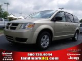 2010 Dodge Grand Caravan SE Hero