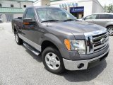 2009 Sterling Grey Metallic Ford F150 XLT Regular Cab #30894520