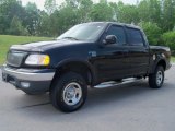 2001 Black Ford F150 XLT SuperCrew 4x4 #30894254