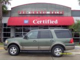 2003 Estate Green Metallic Ford Expedition Eddie Bauer #30894264