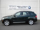 2009 BMW X5 xDrive30i