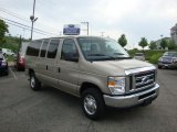 2010 Pueblo Gold Ford E Series Van E350 XLT Passenger #31038233