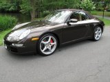 2008 Macadamia Metallic Porsche 911 Carrera S Cabriolet #31038150