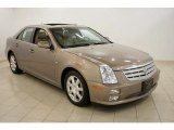 2006 Radiant Bronze Cadillac STS V6 #31080325