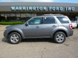 2009 Sterling Grey Metallic Ford Escape Limited V6 4WD #31080154
