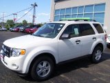 2010 White Suede Ford Escape XLT #31145055