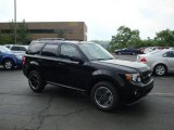 2010 Black Ford Escape XLT Sport Package 4WD #31145077