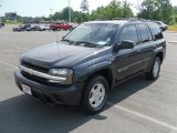 2003 Dark Gray Metallic Chevrolet TrailBlazer LS #31145537