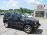 2003 Black Clearcoat Jeep Liberty Limited 4x4 #31257030