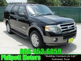 2007 Black Ford Expedition XLT #31331902